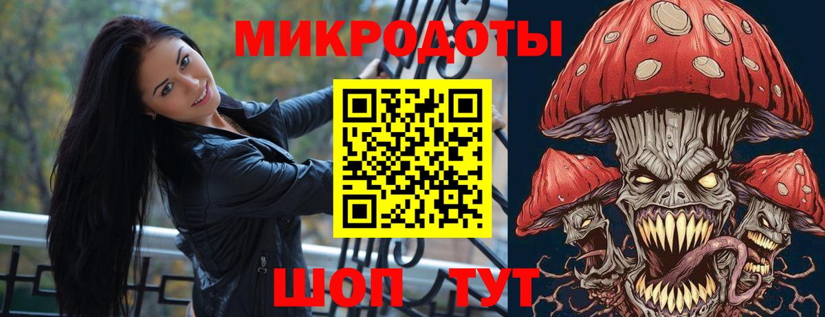 Псилоцибиновые грибы Psilocybe Жигулёвск