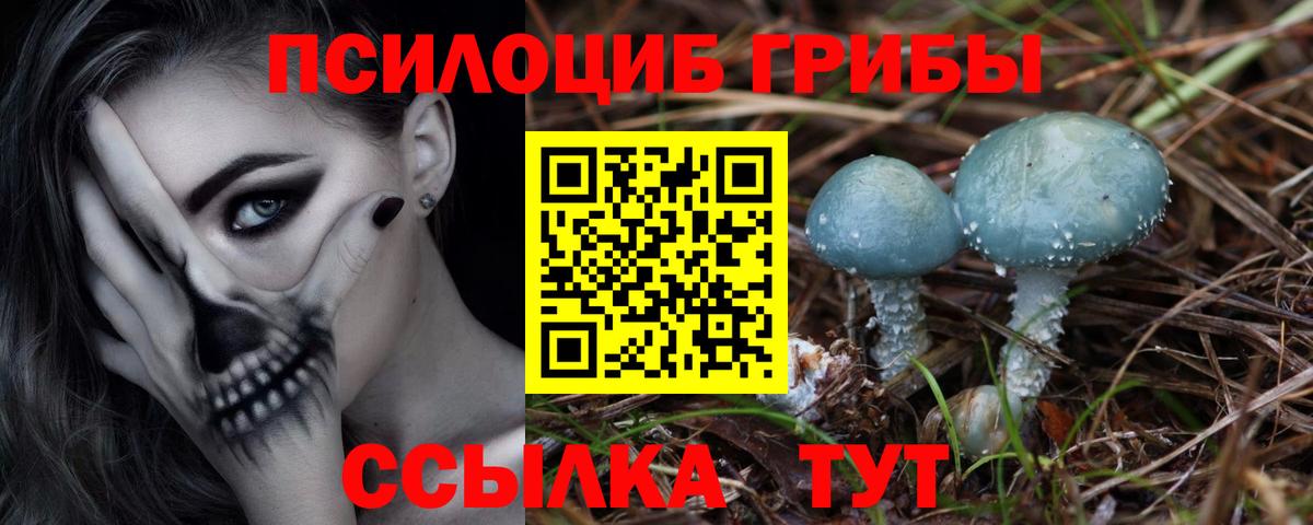 Жигулёвск  Псилоцибиновые грибы Psilocybine cubensis  Вход с VPN 